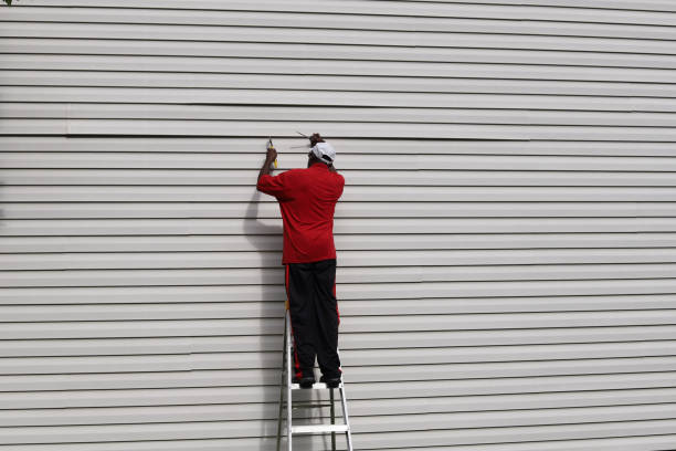 Best Custom Trim and Detailing for Siding  in Harrison, TN